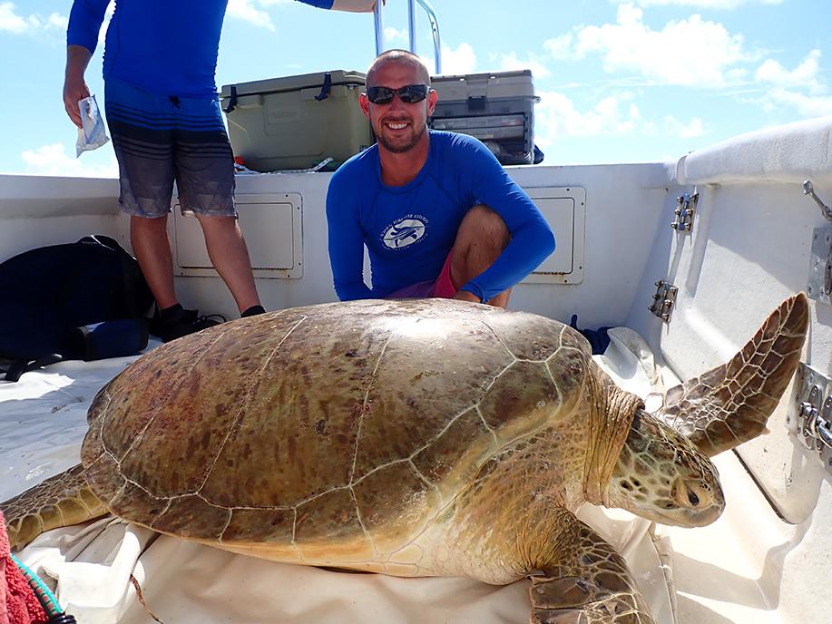 Jef Guertin Turtle Scientist