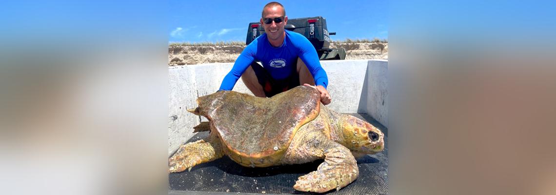 ALUMNI SPOTLIGHT: SEA TURTLE SCIENTIST JEFF GUERTIN